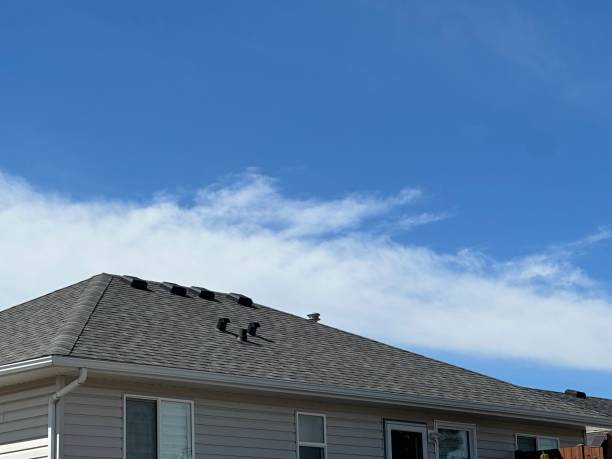 Best Roof Insulation Installation  in East Stroudsburg, PA